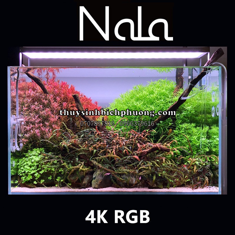 ĐÈN LED NALA RGB