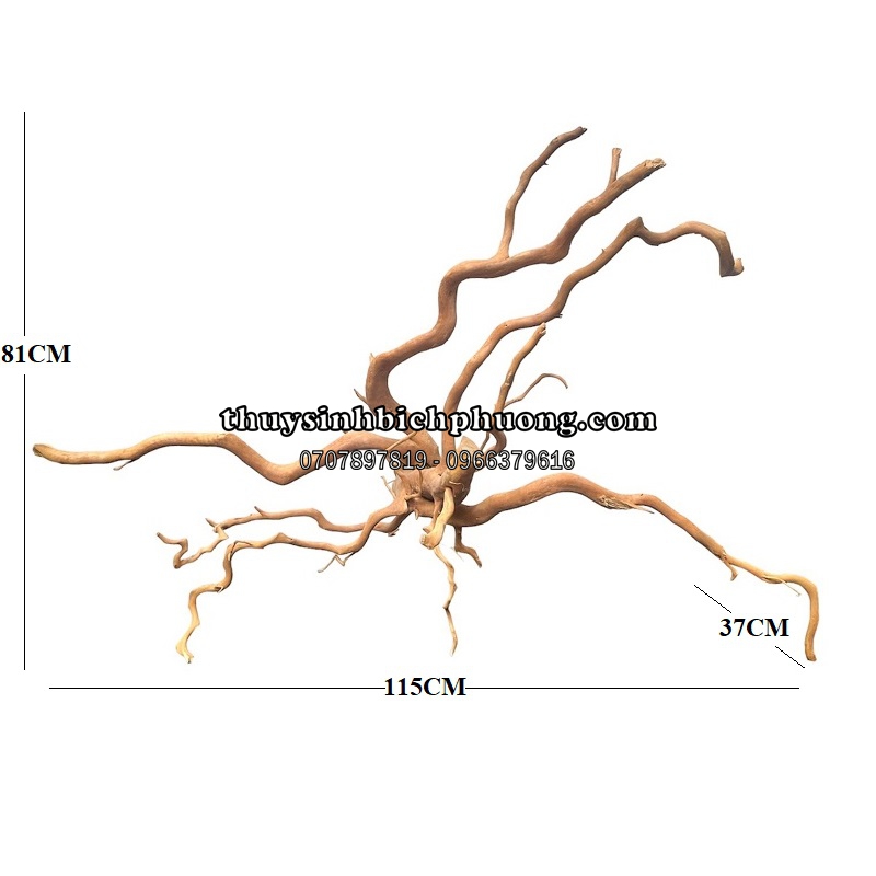 BP6 - BỘ LŨA GỖ ĐỖ QUYÊN NGUYÊN KHỐI