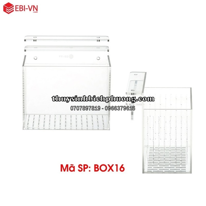 BOX ACRYLIC DƯỠNG | SHOW CÁ TÉP (BOX16)