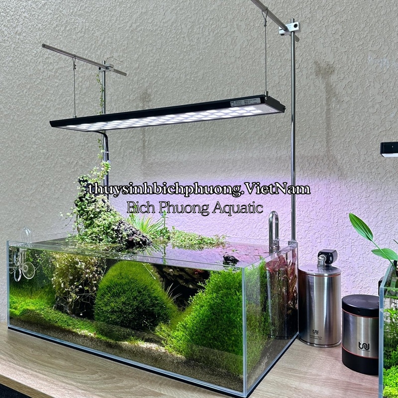 TRU INOX EXTERNAL FILTER INOX 304 NANO - LỌC THÙNG MINI | Cửa hàng Thủy ...