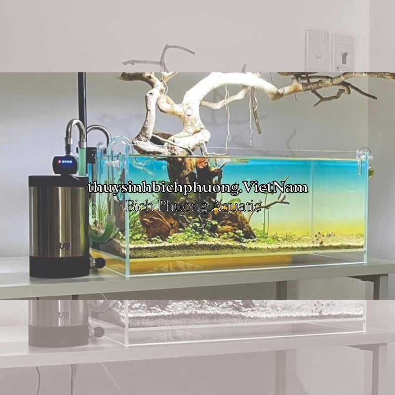 TRU INOX EXTERNAL FILTER INOX 304 NANO - LỌC THÙNG MINI | Cửa hàng Thủy ...