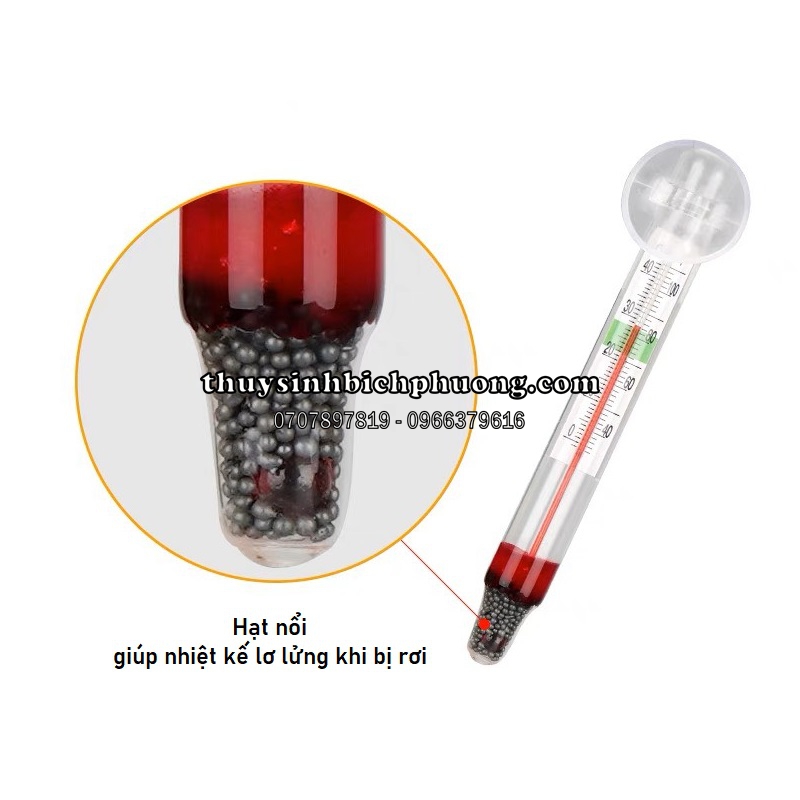 CHUBBY THERMOMETER - NHIỆT KẾ MŨM MĨM