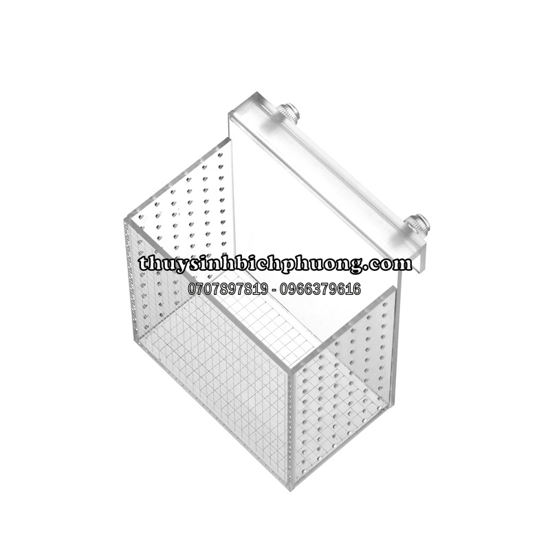 BOX ACRYLIC DƯỠNG | SHOW CÁ TÉP (BOX12)