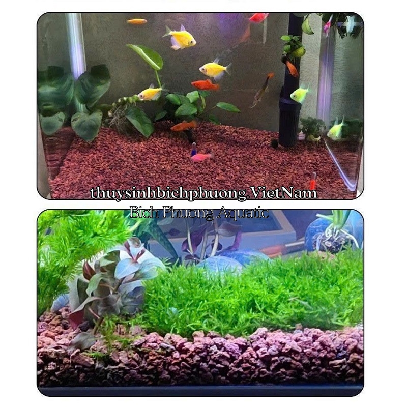ĐÁ NHAM THẠCH ĐỎ VỤN - VẬT LIỆU LỌC NƯỚC, LÓT NỀN