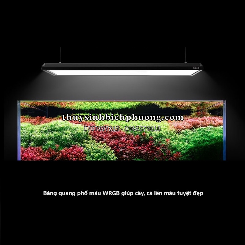 ĐÈN LED NETLEA AT5 PRO P6105 | P6140 CAO CẤP (BẢN NEW ĐIỀU KHIỂN ĐÈN ...