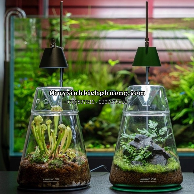 LED LEDSTAR AQ WRGB DOT II D400 - BỘ ĐÈN VÀ HỒ TERRARIUM CAO CẤP (ĐÃ TẶNG KÈM ADAPTER USB)