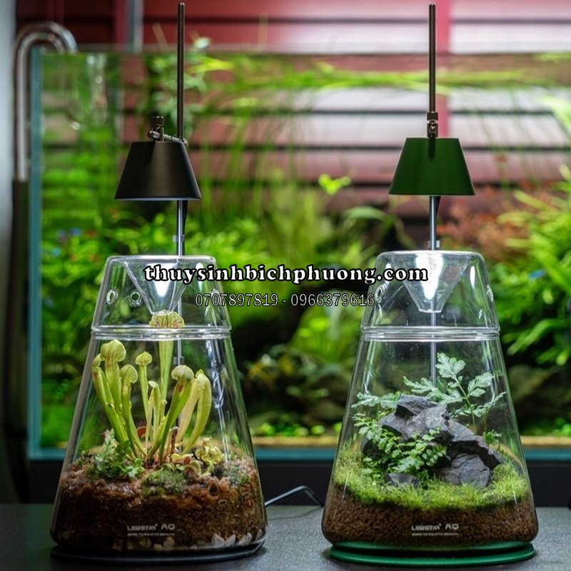 LED LEDSTAR AQ WRGB DOT II D400 - BỘ ĐÈN VÀ HỒ TERRARIUM CAO CẤP (ĐÃ TẶNG KÈM ADAPTER USB)