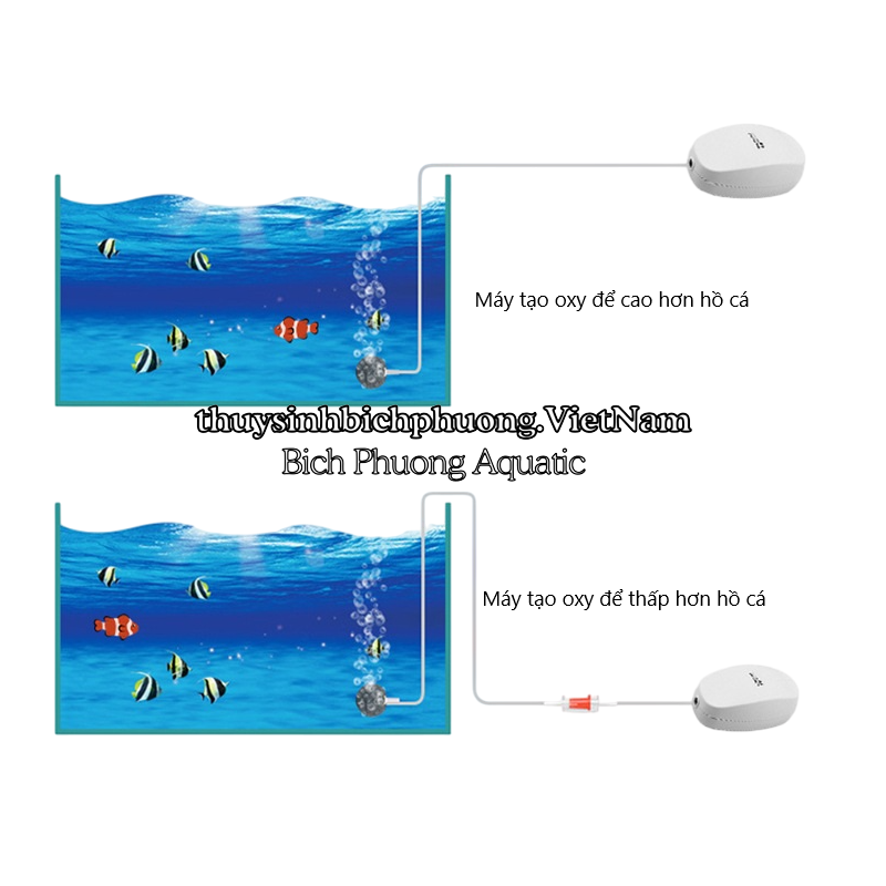 VAN 1 CHIỀU OXY CO2 TAIWAN NHỰA