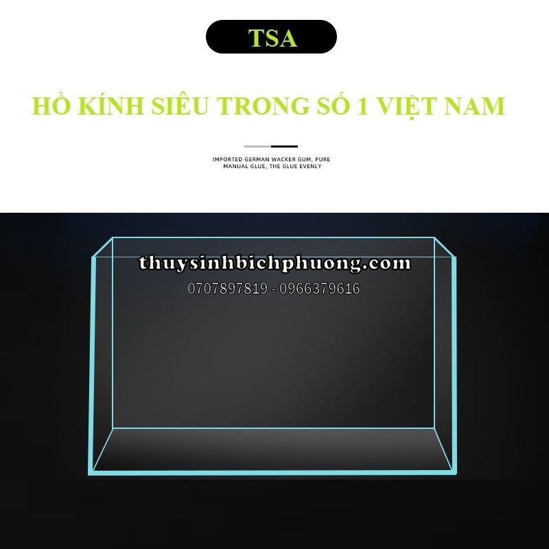 HỒ KÍNH CUBIC SIÊU TRONG TSA VIỆT NAM