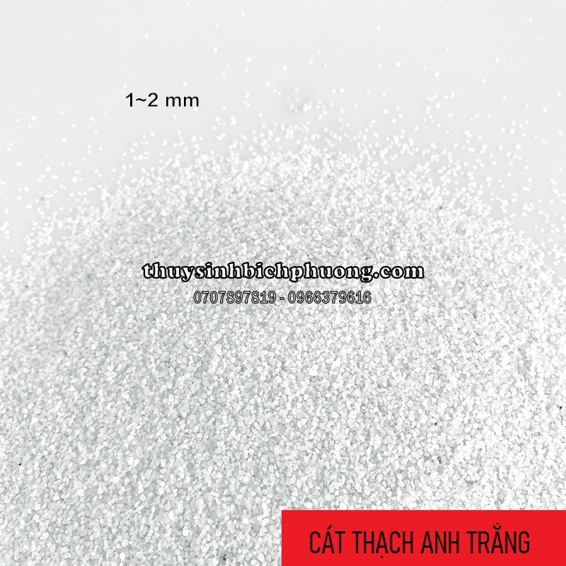 CÁT THẠCH ANH TRẮNG 