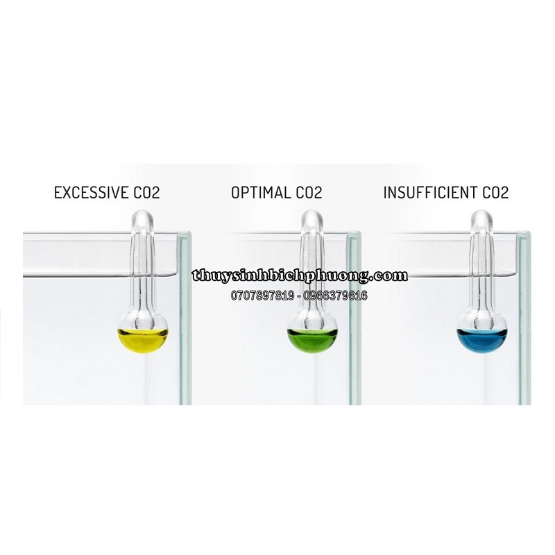 BỘ DỤNG CỤ TEST THEO DÕI NỒNG ĐỘ CO2 CHỮ U