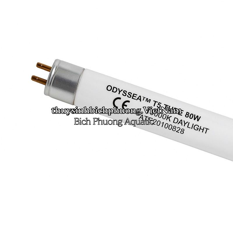 BÓNG ĐÈN ODYSSEA T5HO 10000K – BÓNG THAY THẾ CHÍNH HÃNG CHO MÁNG ĐÈN ODYSSEA
