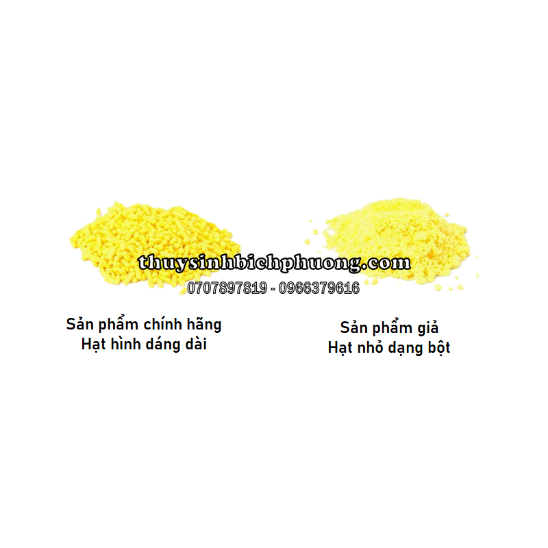 TETRA NHẬT TAIYO -  PHÒNG VÀ ĐIỀU TRỊ BỆNH CHO CÁ, DƯỠNG CÁ KHỎE