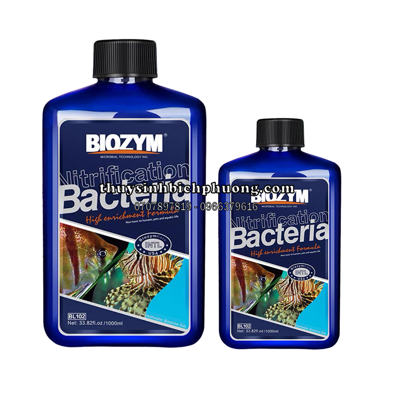 BIOZYM NITRIFYING BACTERIA - VI SINH ĐẬM ĐẶC CHO CÁ NƯỚC NGỌT VÀ NƯỚC MẶN