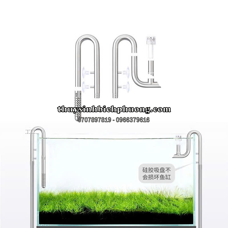 IN OUT INOX WEEK AQUA CÓ LỌC VÁNG FI12, FI16