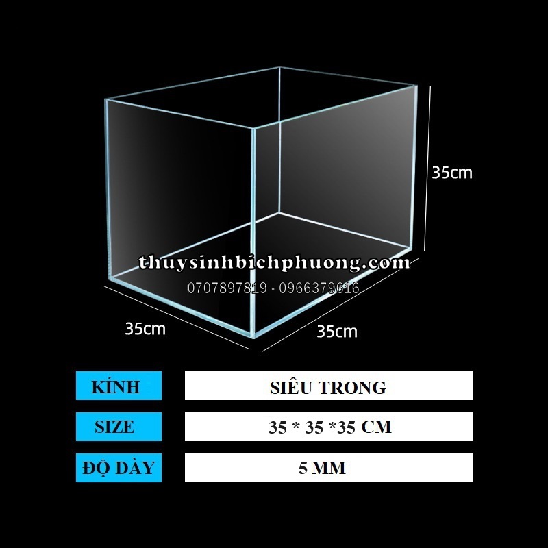 HỒ KÍNH CUBIC SIÊU TRONG TSA VIỆT NAM