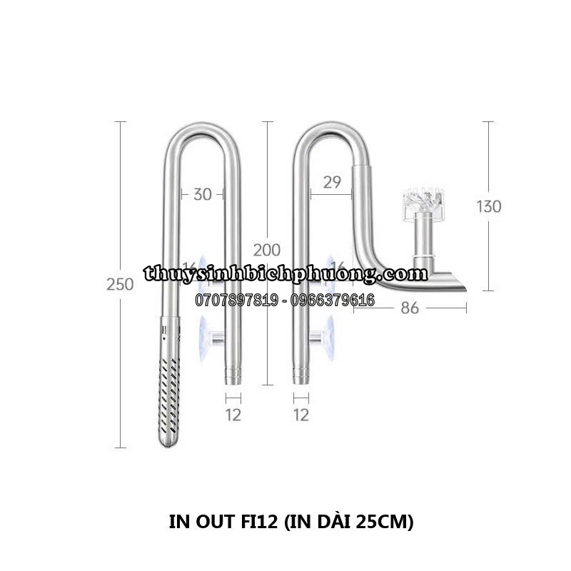 IN OUT INOX WEEK AQUA CÓ LỌC VÁNG FI12, FI16