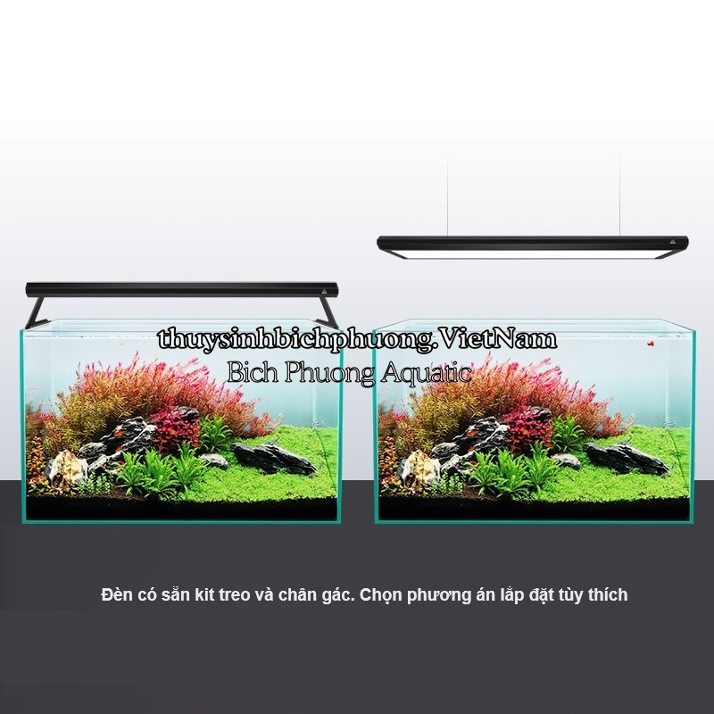 ĐÈN LED WEEK P PRO SERIES RGB-UV P600 | P900 | P1200