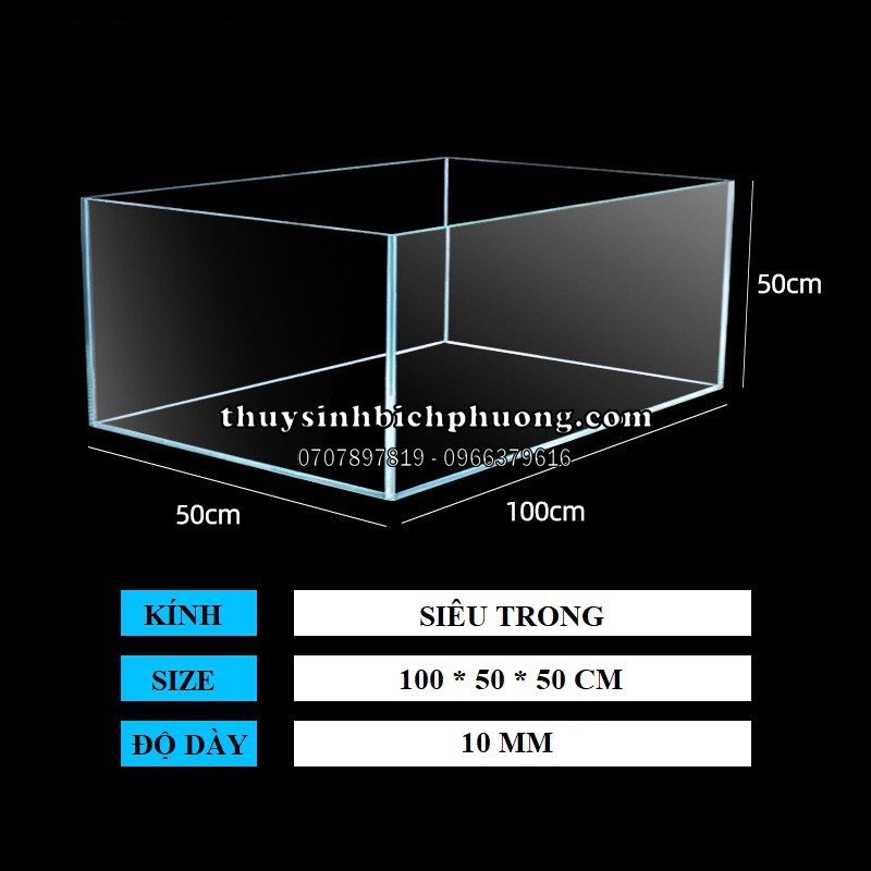 HỒ KÍNH CHỮ NHẬT SIÊU TRONG TSA VIỆT NAM