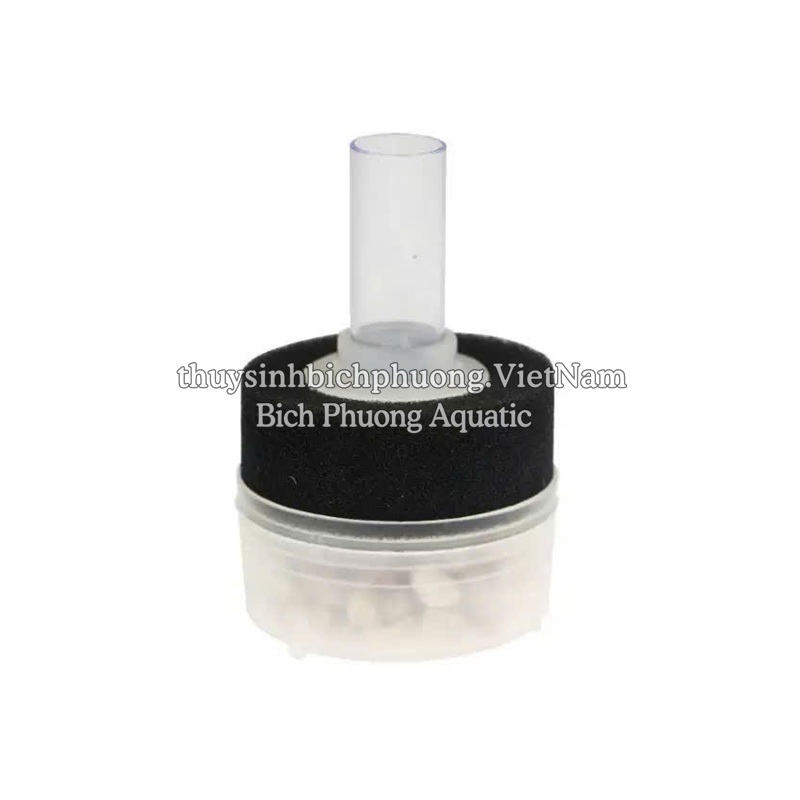 LỌC VI SINH BIO MINI XY-168