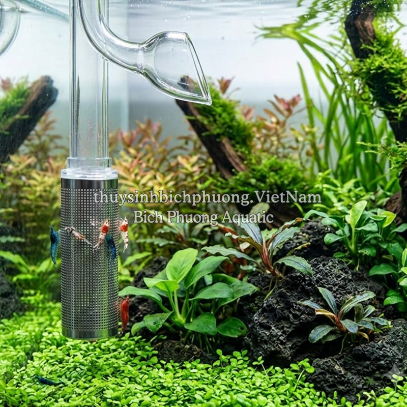 BỊT TÉP INOX CNC – GIẢI PHÁP BẢO VỆ TÉP CẢNH VÀ CÁ CON TỐI ƯU CHO HỒ THỦY SINH