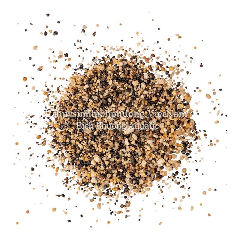 CÁT CAFE - COFFEE SAND