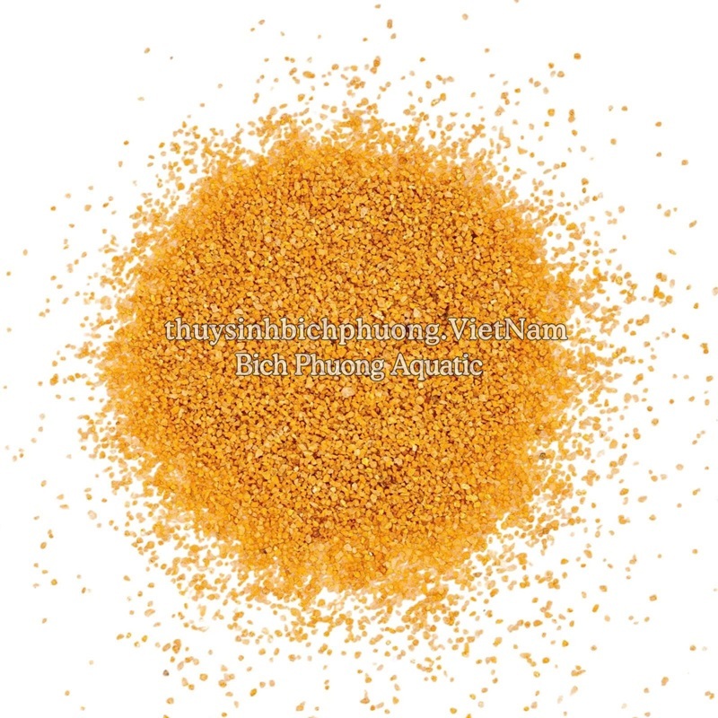 CÁT VÀNG – YELLOW SAND