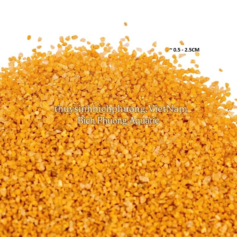 CÁT VÀNG – YELLOW SAND
