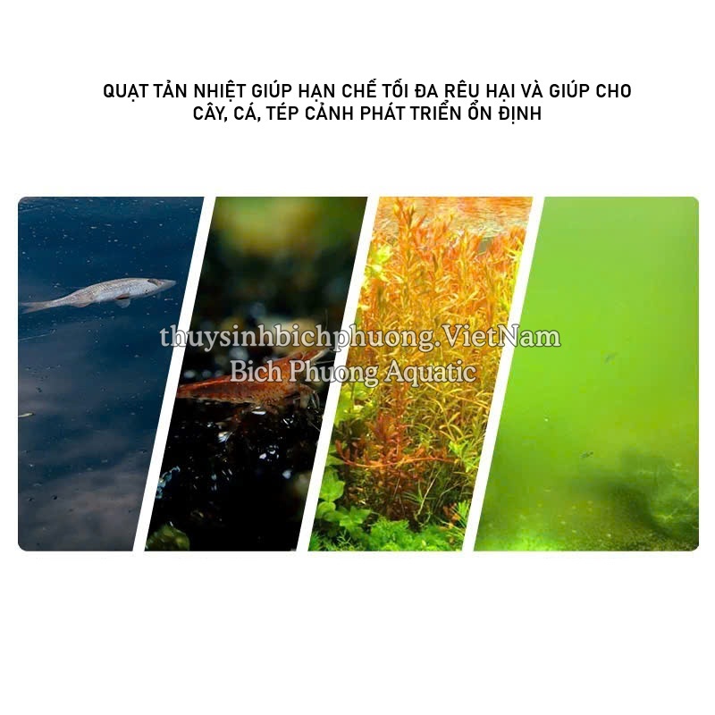 AQUA WORLD / UP AQUA COOLING FAN - QUẠT TẢN NHIỆT