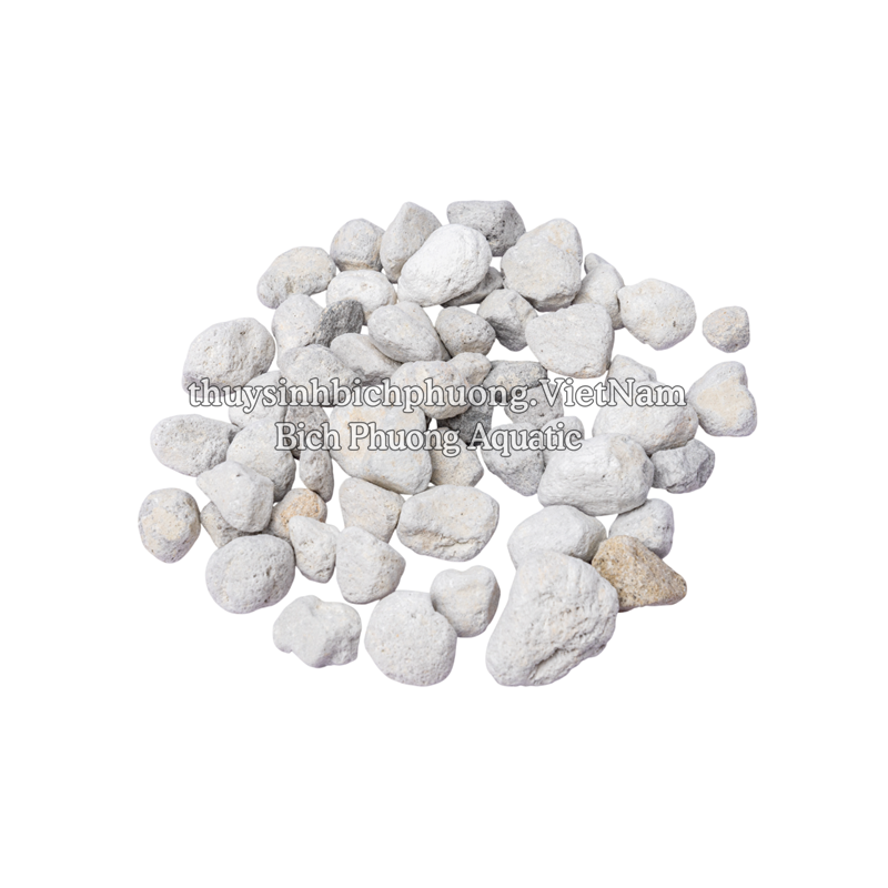 CONTINUUM BACT•ROX LARGE (SIZE XL) 1L - VẬT LIỆU LỌC CAO CẤP