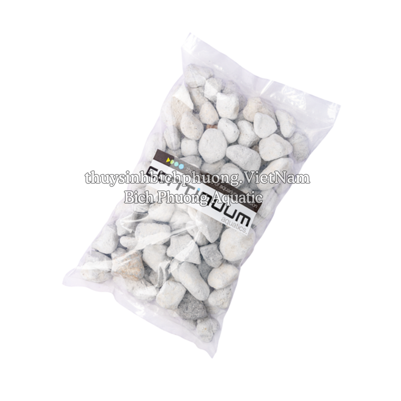 CONTINUUM BACT•ROX LARGE (SIZE XL) 1L - VẬT LIỆU LỌC CAO CẤP