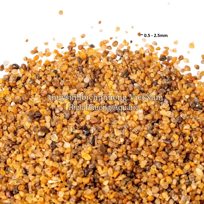 CÁT VÀNG HOÀNG KIM – GOLDEN AQUA SAND