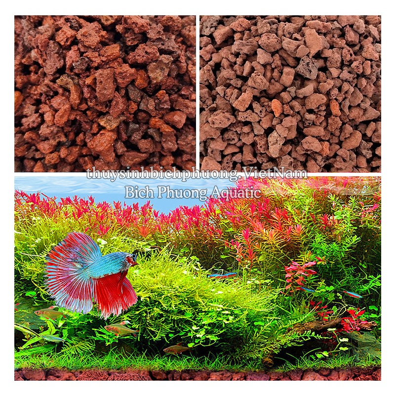 ĐÁ NHAM THẠCH ĐỎ | RED LAVA ROCK - VẬT LIỆU LỌC, TRANG TRÍ, SETUP