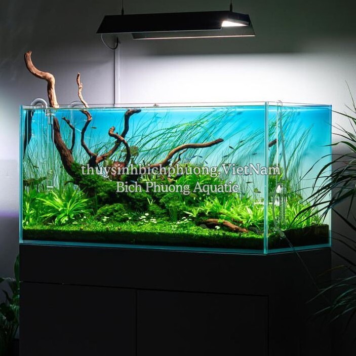 ĐẾM GIỌT CO2 THỦY TINH XOẮN – THIẾT KẾ TINH TẾ, KIỂM SOÁT CO2 CHÍNH XÁC