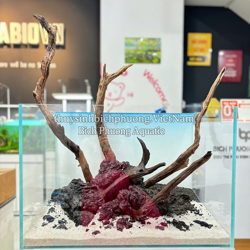 ĐÁ ĐEN GIA LAI – ĐÁ TRANG TRÍ HỒ CÁ THỦY SINH, LÓT NỀN, DECOR
