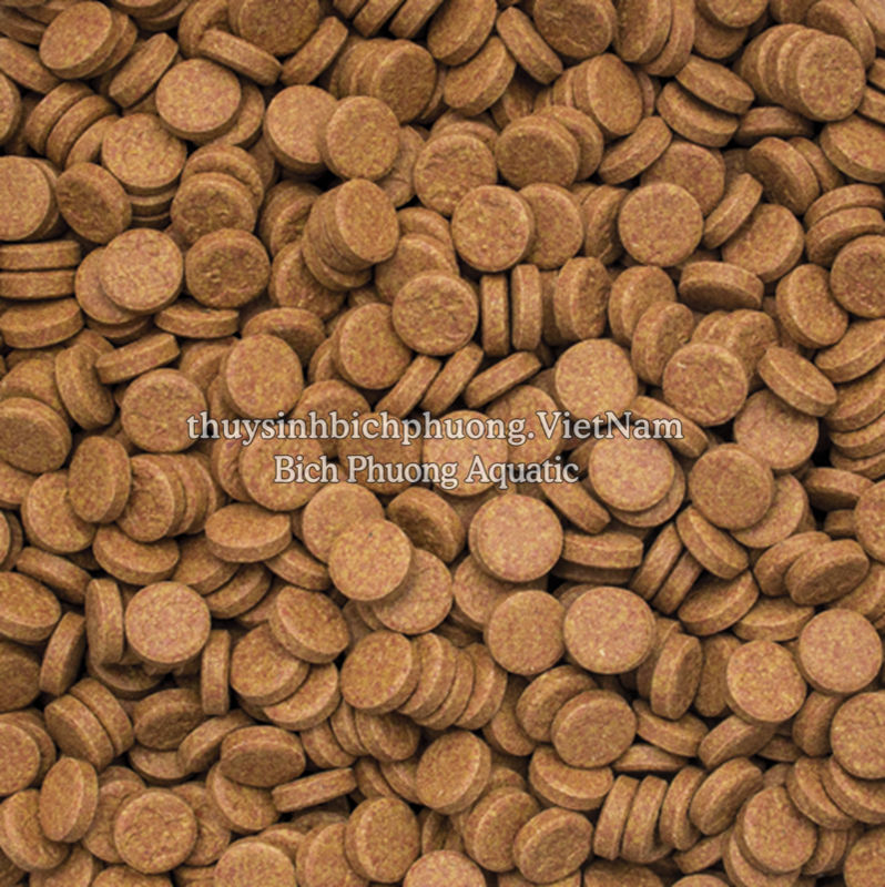 VITALITY & COLOR TABLETS – THỨC ĂN TĂNG MÀU & TĂNG TRƯỞNG CHO CÁ CẢNH