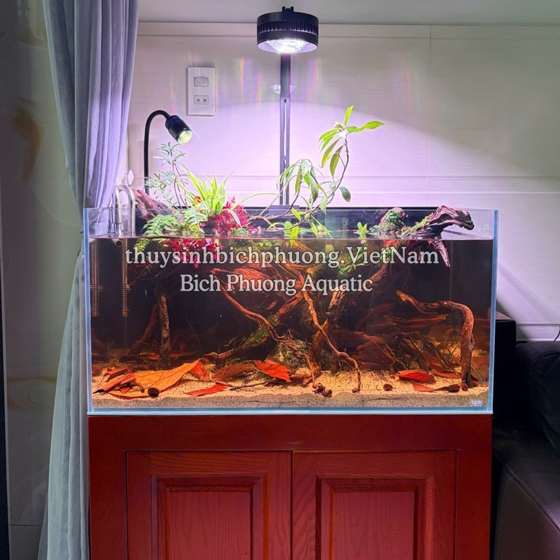ĐÈN LED RỌI LOVE ECOLOGY WRGB  (APP)