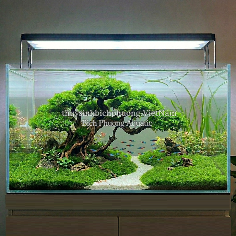 RÊU MINITAIWAN | MINI TAIWAN MOSS – RÊU THỦY SINH CHO HỒ CÁ, TERRARIUM