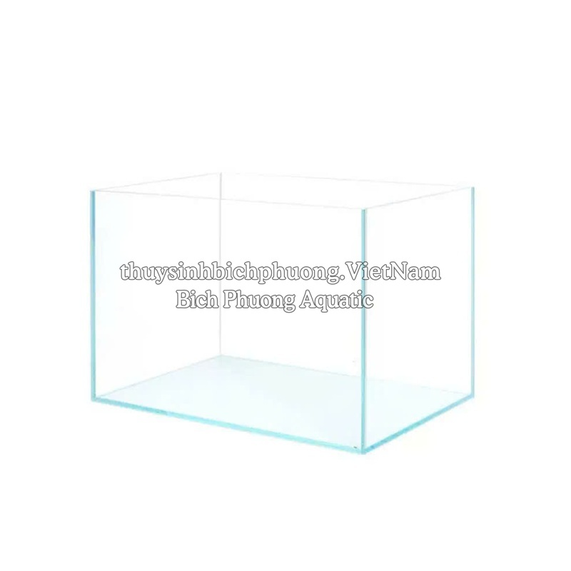 HỒ KÍNH SIÊU TRONG TAIWAN - HỒ CÁ THỦY SINH