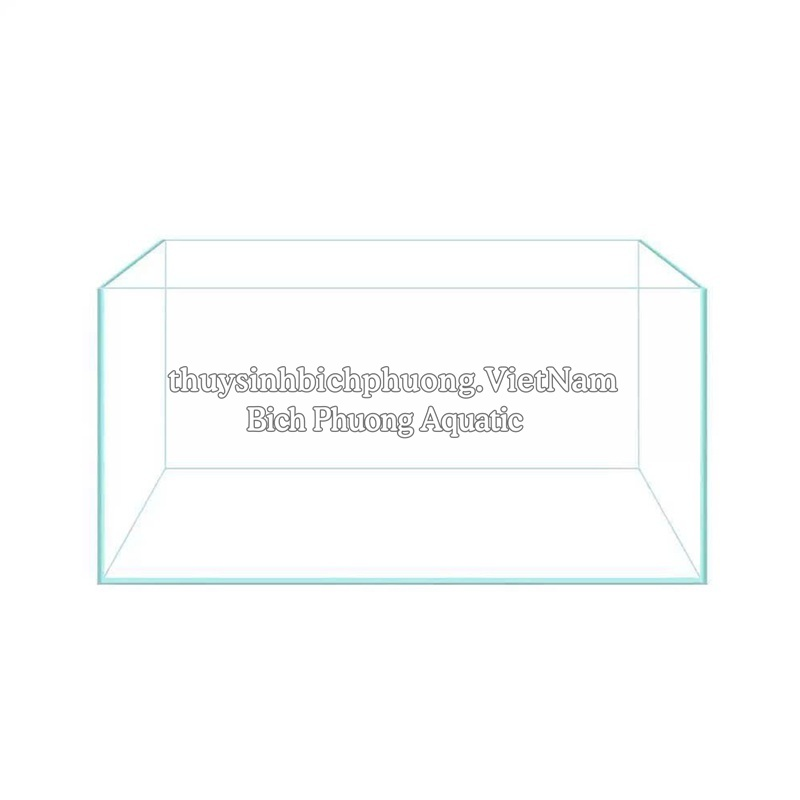 HỒ KÍNH SIÊU TRONG TAIWAN - HỒ CÁ THỦY SINH