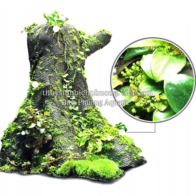 VẢI GIỮ ẨM HYGROLON BÁN CẠN