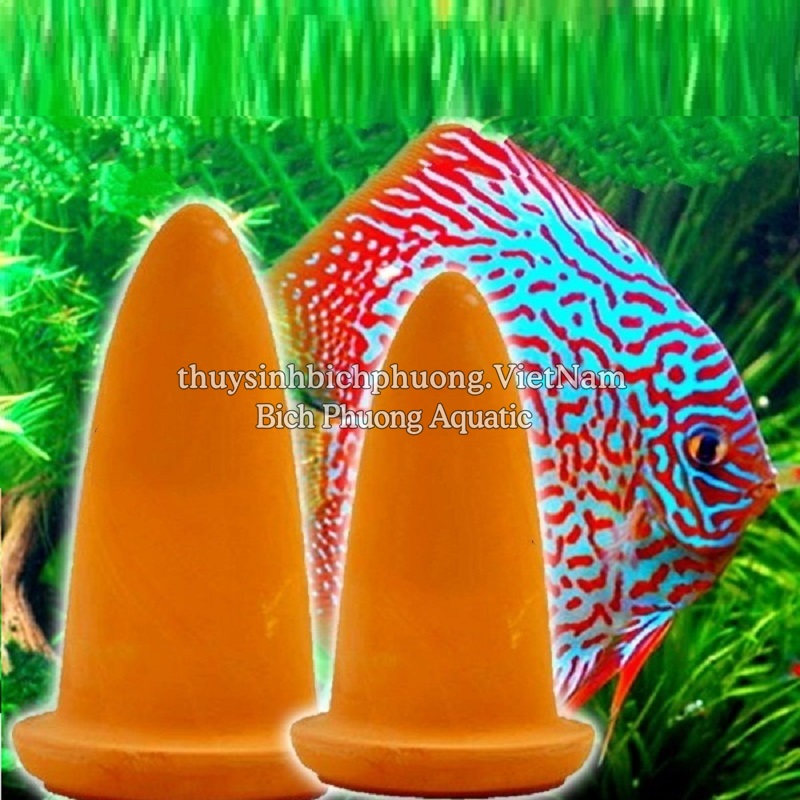 ỐNG GỐM CHO CÁ DĨA SINH SẢN – GIÁ THỂ ĐẺ TRỨNG CHUYÊN DỤNG