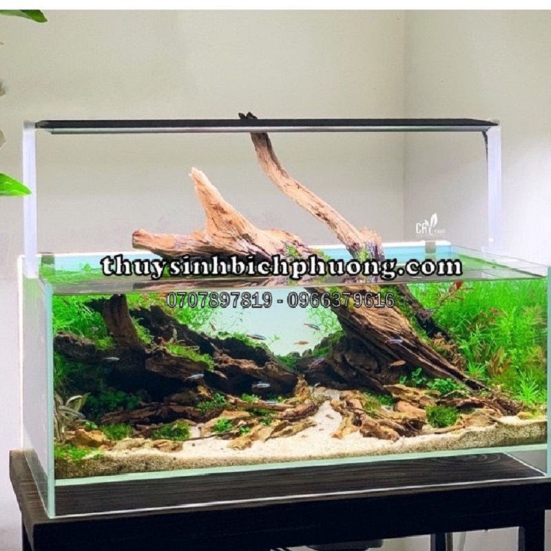 CHÂN ĐÈN NÂNG CAO A2 VER.2 CHIHIROS