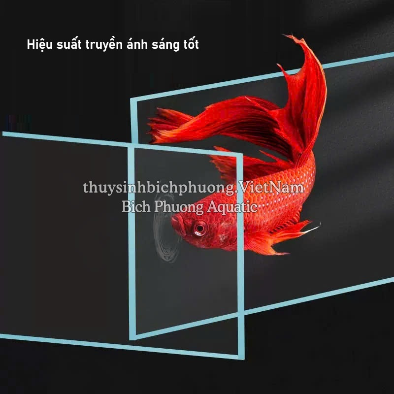 HỒ KÍNH SIÊU TRONG TAIWAN - HỒ CÁ THỦY SINH