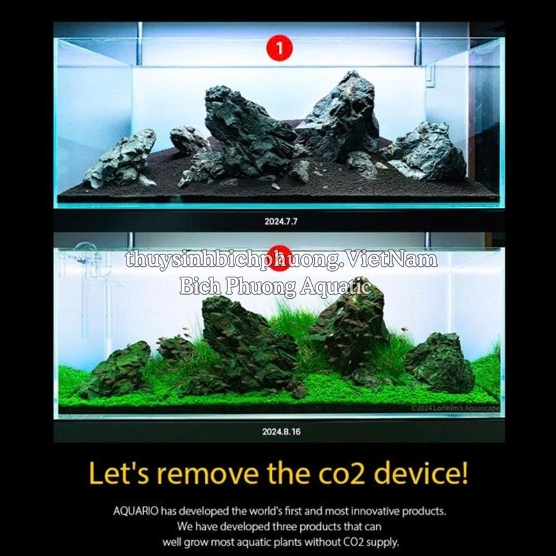 PHÂN NỀN AQUARIO NEO SOIL NO CO2 – ĐẤT NỀN THỦY SINH CHO BỂ LOW TECH