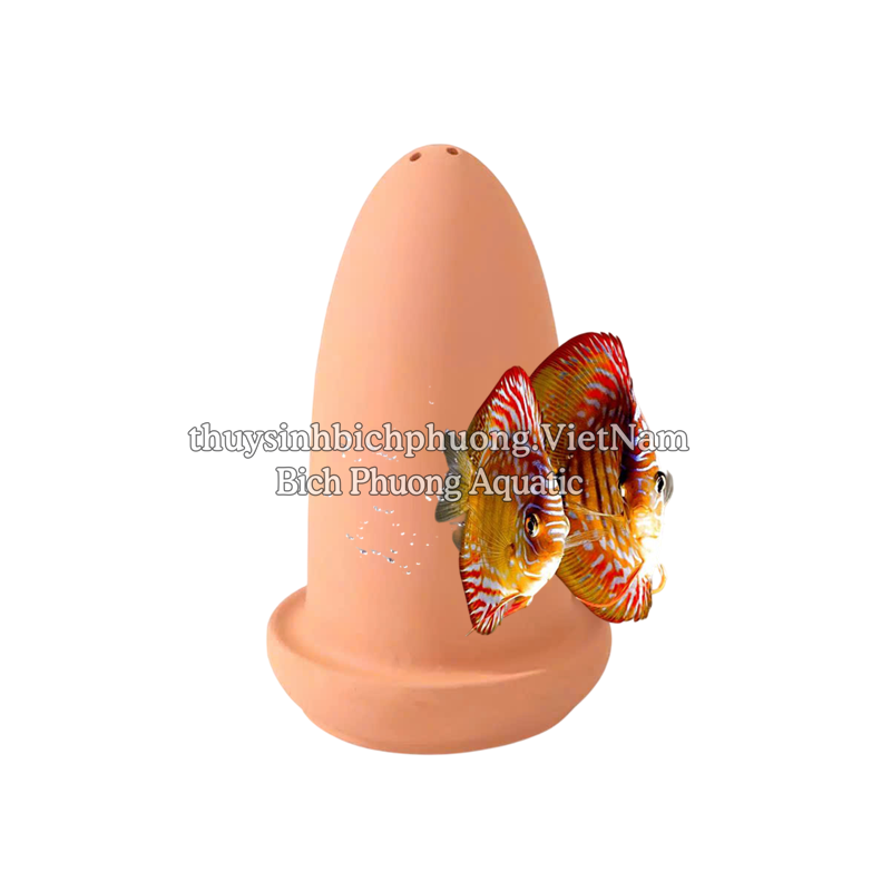 ỐNG GỐM CHO CÁ DĨA SINH SẢN – GIÁ THỂ ĐẺ TRỨNG CHUYÊN DỤNG