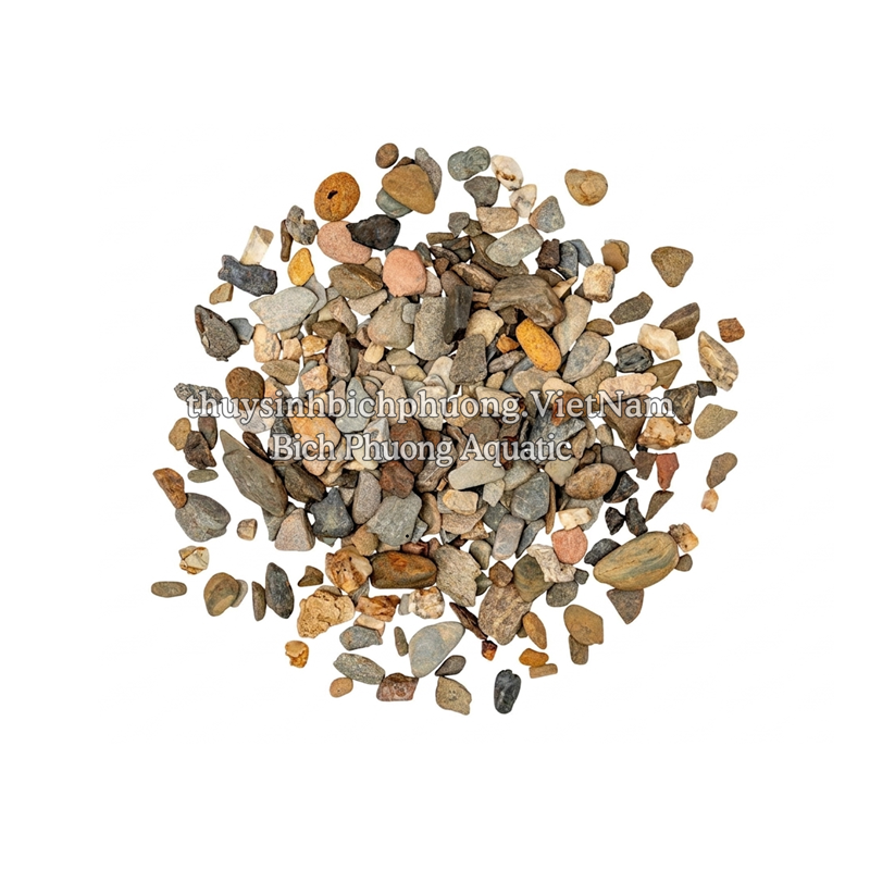 SẠN SUỐI 7 MÀU - SEVEN-COLOR STREAM GRAVEL
