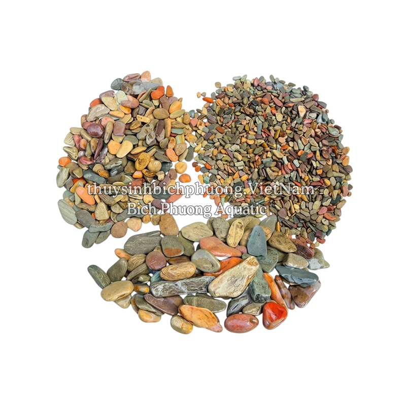 SẠN SUỐI 7 MÀU - SEVEN-COLOR STREAM GRAVEL
