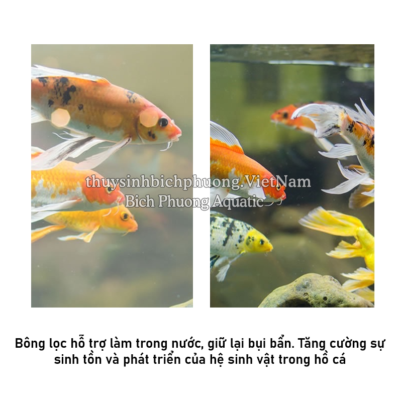 BLACK FILTER FOAM - MÚT ĐEN LỌC NƯỚC