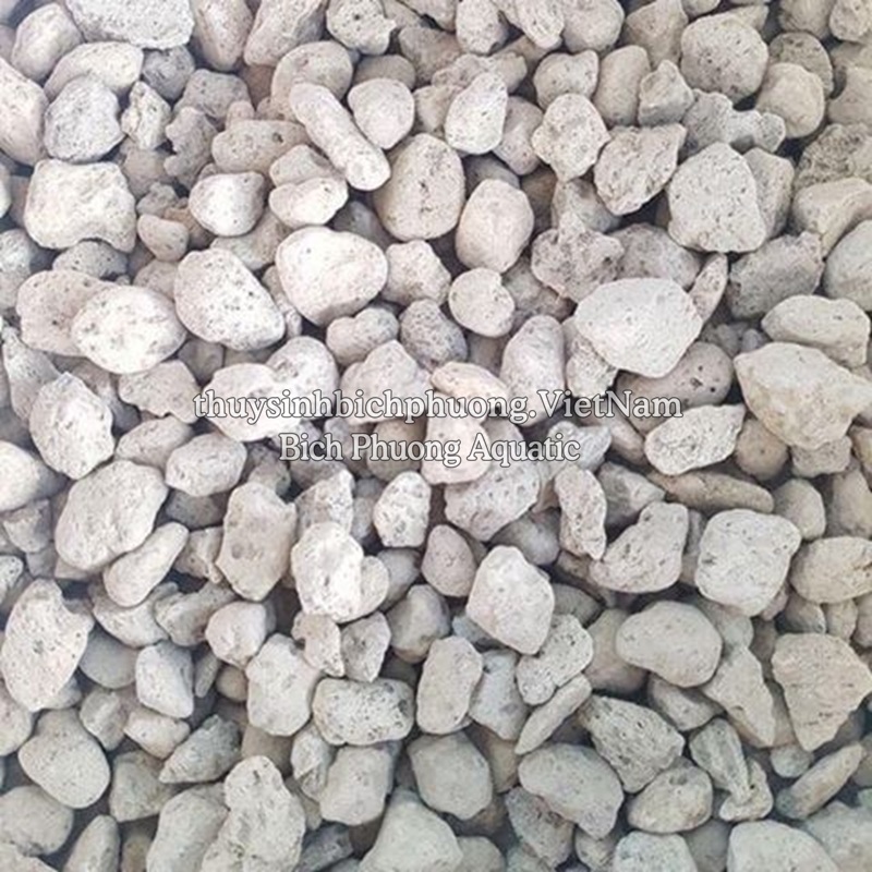 ĐÁ LÔNG VŨ (NHAM THẠCH TRẮNG / PUMICE) - GIẢI PHÁP TOÀN DIỆN CHO CÂY TRỒNG & HỆ THỐNG LỌC NƯỚC